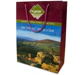 Sycamore Luxury Laminated Paper Bag